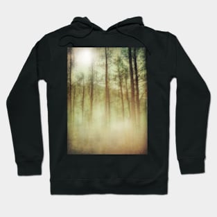 Tall Pines Hoodie